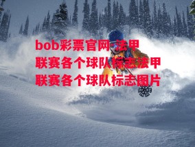 bob彩票官网-法甲联赛各个球队标志法甲联赛各个球队标志图片