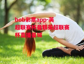 bob彩票app-英超联赛杯曼联英超联赛杯直播曼城