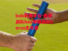 bob彩票平台-西恩战队hao弩级战队heros无光晕